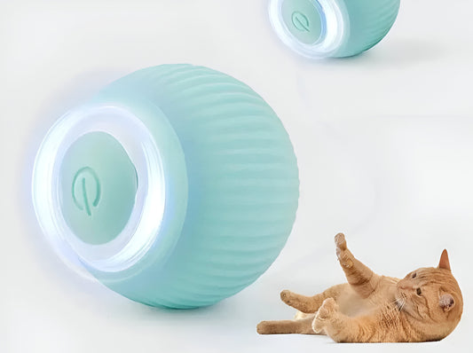 Bola inteligente Zonxpres