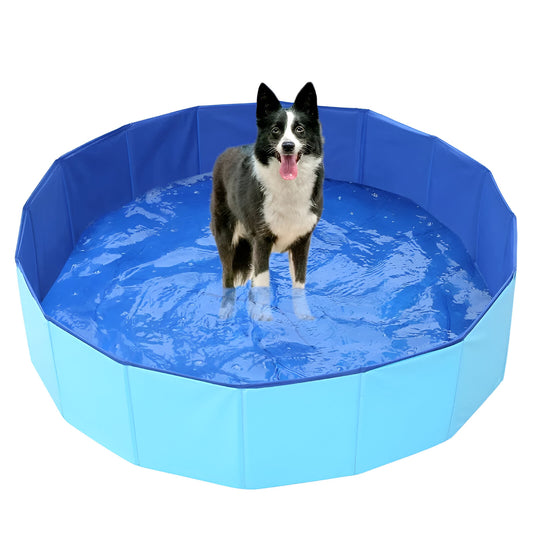 Piscina para mascota