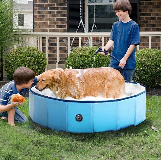 Piscina para mascota